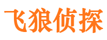 眉山市出轨取证